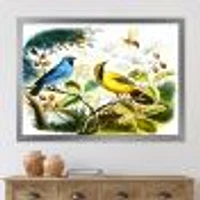 Blue and Yellow Bird The Wild  Canvas Wall Art Print