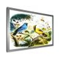 Blue and Yellow Bird The Wild  Canvas Wall Art Print