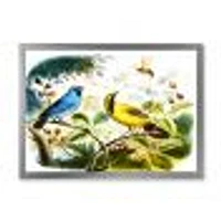 Blue and Yellow Bird The Wild  Canvas Wall Art Print