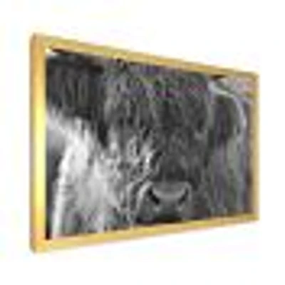 Scottish Highland Cows Living on Moorland Wall Art