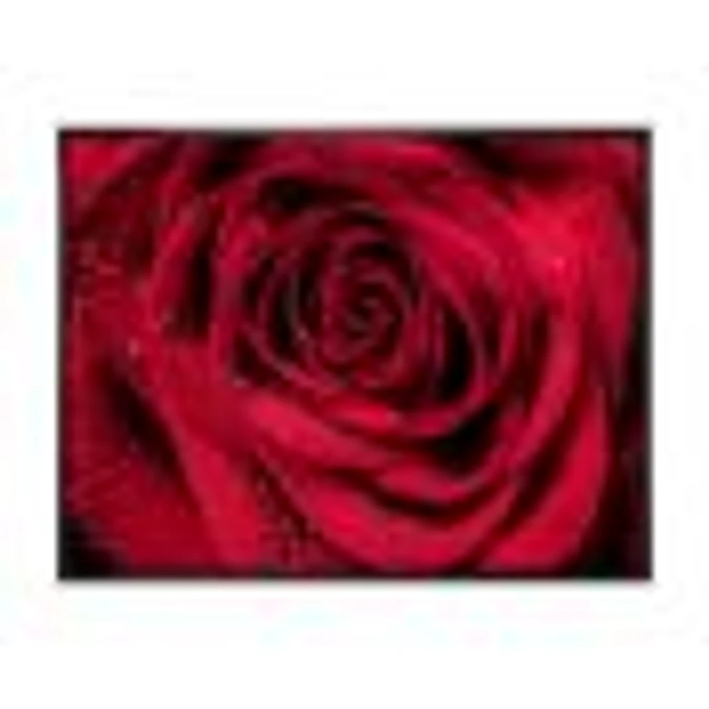 Red Rose Petals with Rain Droplets  Canvas Art Print