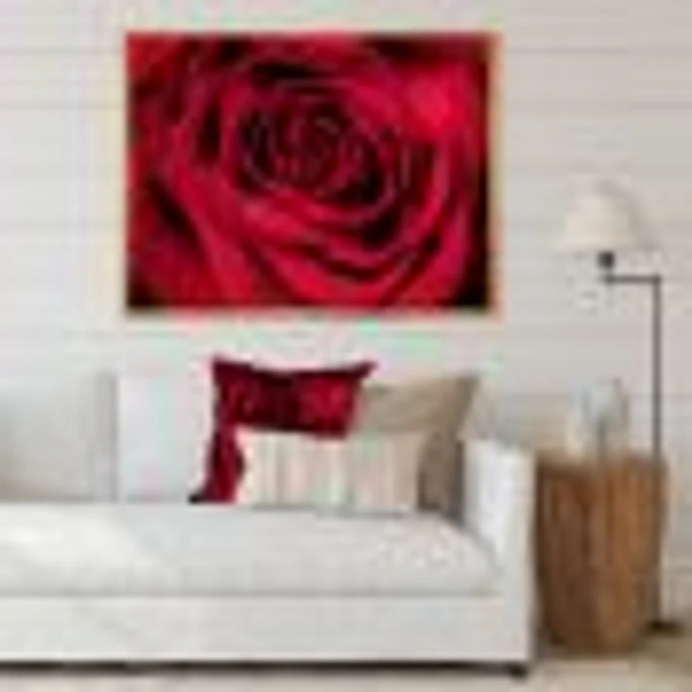 Red Rose Petals with Rain Droplets  Canvas Art Print