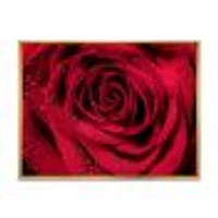 Red Rose Petals with Rain Droplets  Canvas Art Print