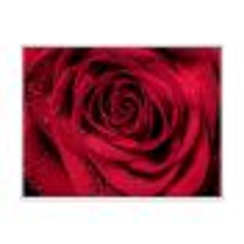 Toile imprimée « Red Rose Petals with Rain Droplets