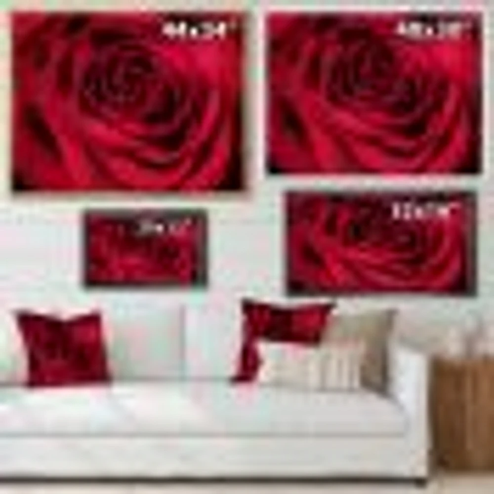 Red Rose Petals with Rain Droplets  Canvas Art Print