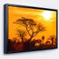 Orange Glow of African Sunset  Wall Art