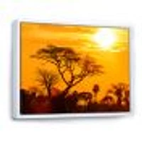 Orange Glow of African Sunset  Wall Art