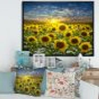 Field of Blooming SunFlowers  Canvas Wall Art