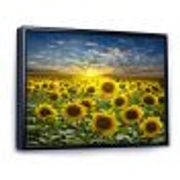 Field of Blooming SunFlowers  Canvas Wall Art