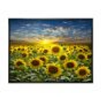 Field of Blooming SunFlowers  Canvas Wall Art