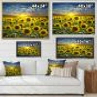 Field of Blooming SunFlowers  Canvas Wall Art