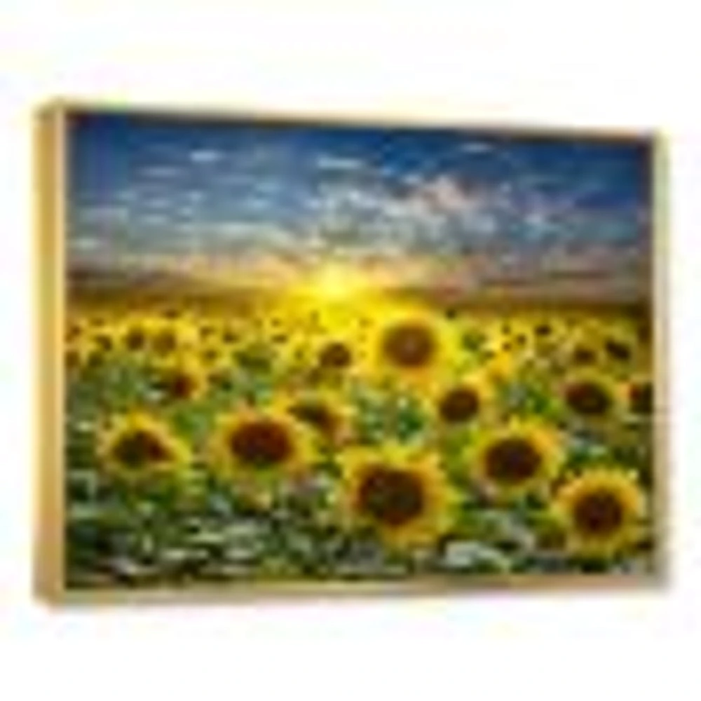 Field of Blooming SunFlowers  Canvas Wall Art