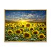 Toile « Field of Blooming SunFlowers »