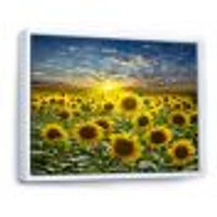 Field of Blooming SunFlowers  Canvas Wall Art