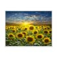 Field of Blooming SunFlowers  Canvas Wall Art