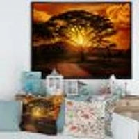 African Sunset with Lonely Tree  Wall Art