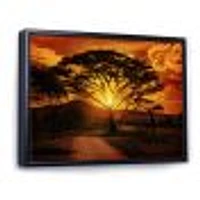 African Sunset with Lonely Tree  Wall Art