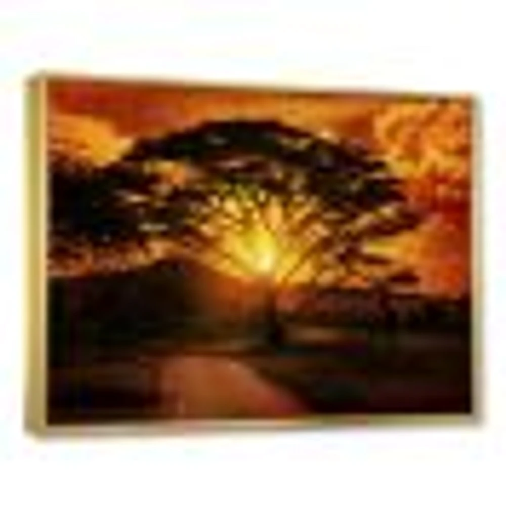 Toile « African Sunset with Lonely Tree