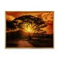 African Sunset with Lonely Tree  Wall Art