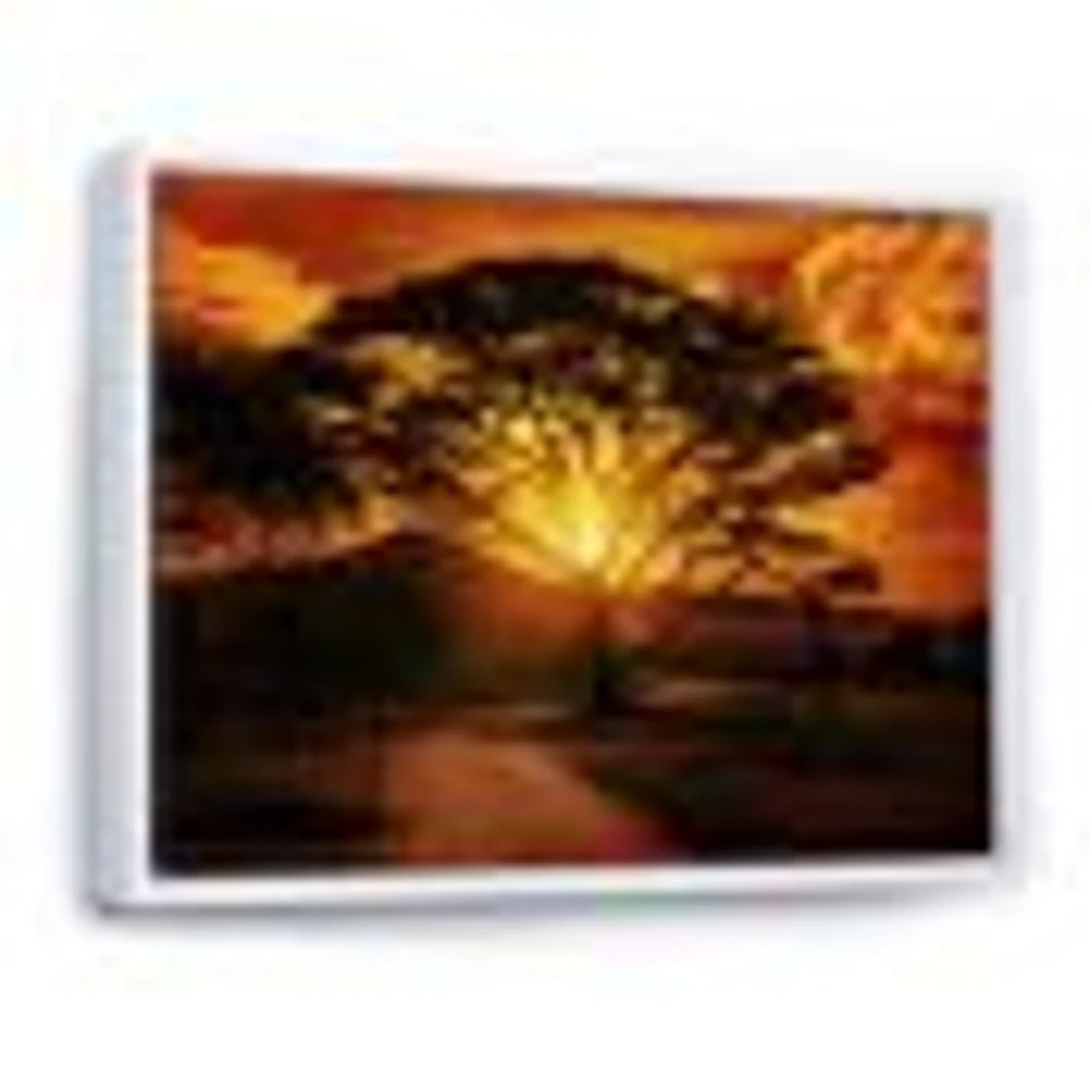 African Sunset with Lonely Tree  Wall Art