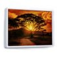 African Sunset with Lonely Tree  Wall Art