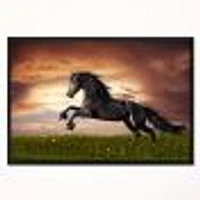 Black Friesian Horse Gallop  Wall Art