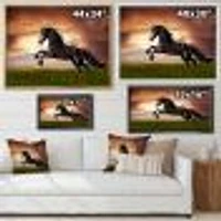 Black Friesian Horse Gallop  Wall Art