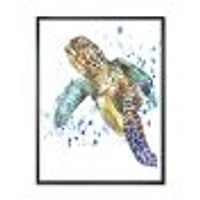 Blue Sea Turtle  Canvas Art Print