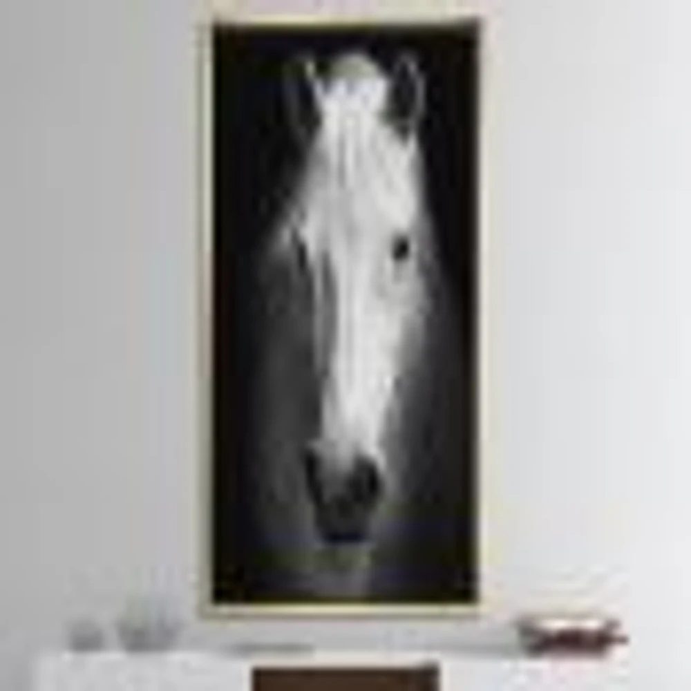 White Horse Black and  Wall Art