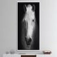 White Horse Black and  Wall Art