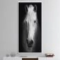 White Horse Black and  Wall Art