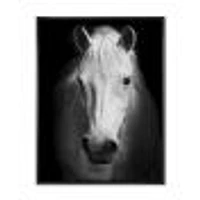 Toile « White Horse Black and »