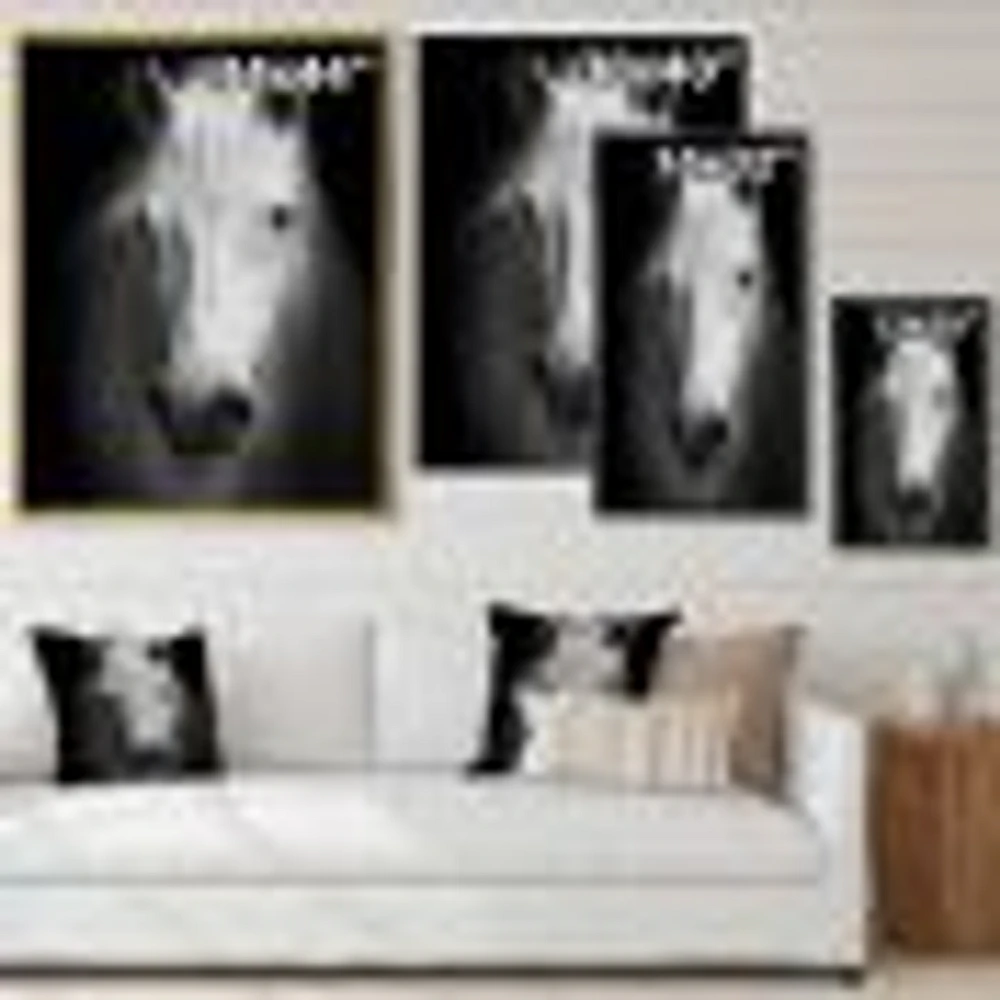 White Horse Black and  Wall Art