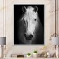 White Horse Black and  Wall Art