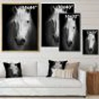 White Horse Black and  Wall Art