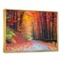 Toile « Road Beautiful Autumn Forest »