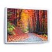 Toile « Road Beautiful Autumn Forest »