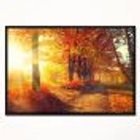 Autumnal Trees Sunrays Wall Art