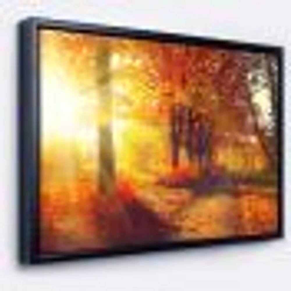 Autumnal Trees Sunrays Wall Art