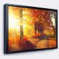 Autumnal Trees Sunrays Wall Art