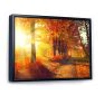 Autumnal Trees Sunrays Wall Art