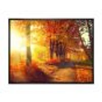 Autumnal Trees Sunrays Wall Art