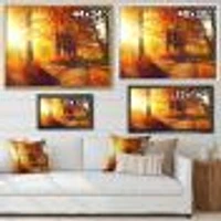 Autumnal Trees Sunrays Wall Art