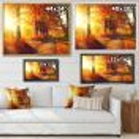 Autumnal Trees Sunrays Wall Art