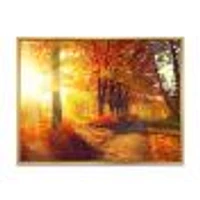 Autumnal Trees Sunrays Wall Art