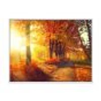 Autumnal Trees Sunrays Wall Art