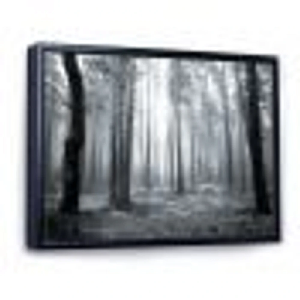 Black and White Foggy Forest Canvas Wall Art