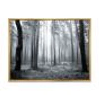 Black and White Foggy Forest Canvas Wall Art