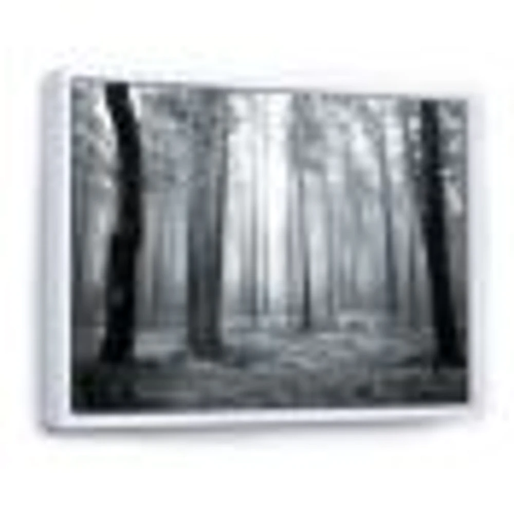 Toile « Black and White Foggy Forest