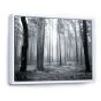 Black and White Foggy Forest Canvas Wall Art